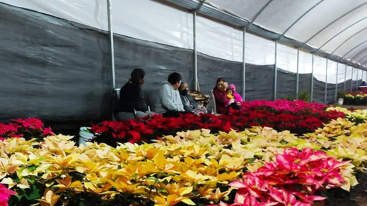 FLORICULTORES 01